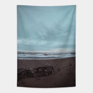 Stranded Lobster Trap on a New Brunswick Beach V2 Tapestry