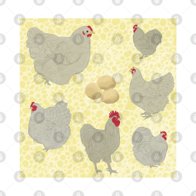 Lavender Orpington Chicken Pattern by TrapperWeasel