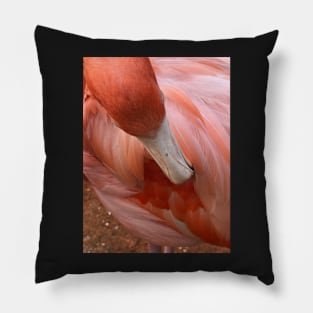 Flamingo Pillow