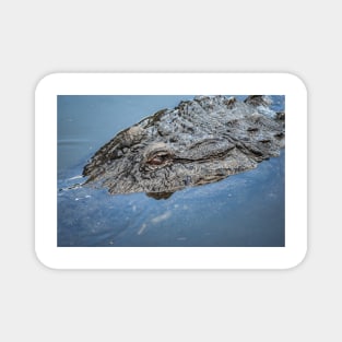 Big Mama alligator Magnet