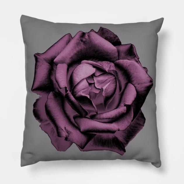 Pink Charcoal Rose Pillow by nautilusmisc