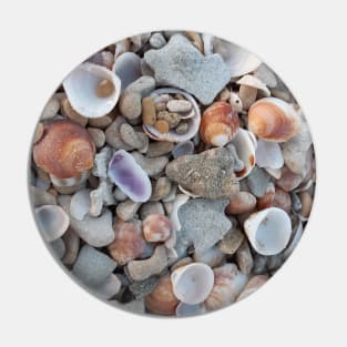 Sea-shells. pattern, shell, beach. sea. summer, sea-life. sand. Pin