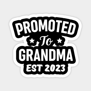 Funny Grandma 2023 Gift Idea Magnet