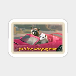 Get in loser, we're going insane raccoon possum word art - film quote version Magnet