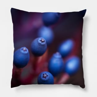 Berries Pillow