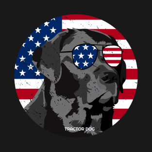 Dog American Flag with American Flag Glasses T-Shirt