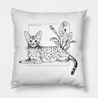 OCICAT Pillow