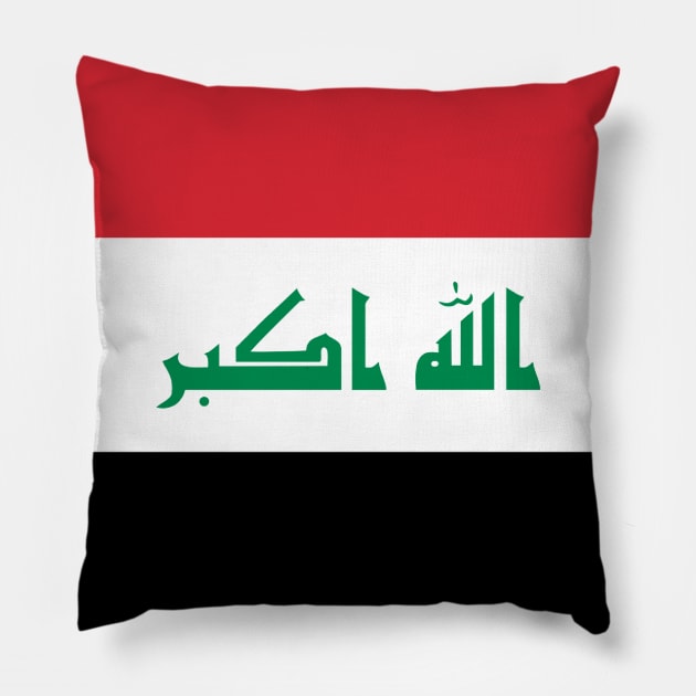 Iraq Pillow by Wickedcartoons