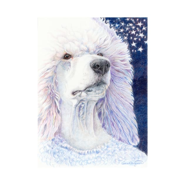 Dreamdog - white standard poodle by doggyshop