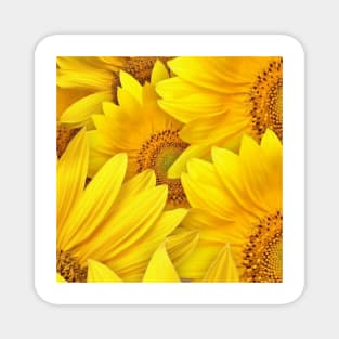 Yellow sunflower Magnet