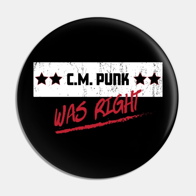 Punk was right Pin by Spilled Ink