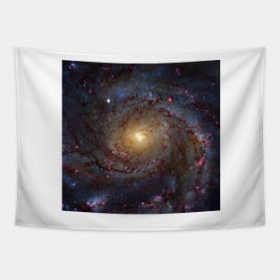 Pinwheel Galaxy, HST image (C030/0050) Tapestry