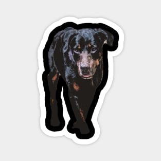 rottweiler Magnet