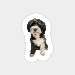 Havanese Puppy Dog Magnet