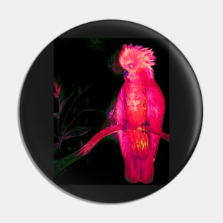 BRIGHT PINK TROPICAL COCKATOO PARROT ISLAND EXOTIC BIRD PALM POSTER PRINT Pin