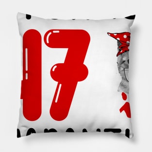 I Turned 47 In Quarantine Funny Cat Facemask Pillow