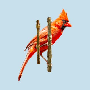 Male Northern Cardinal T-Shirt