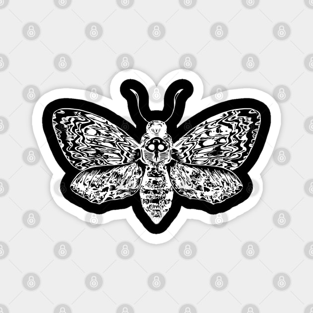 Dead head moth Magnet by Sitenkova