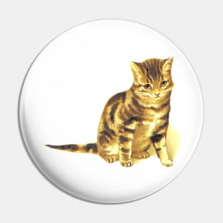 Cat vintage drawing in color Ginger kitten Pin