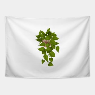 Jade Pothos Plant Illustration Tapestry