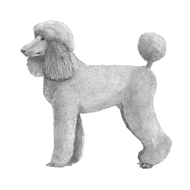 Poodle standard - abricot by doggyshop