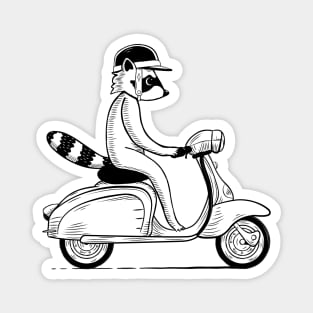 raccoon on scooter Magnet