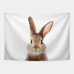 Brown Bunny, Baby Rabbit, Kids Art, Baby Animals Art Print By Synplus Tapestry