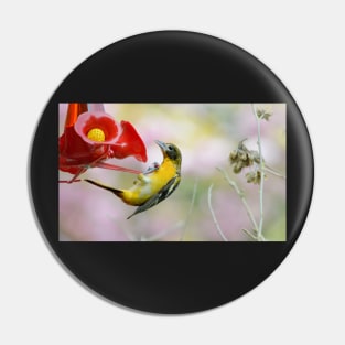 Agile Oriole Pin