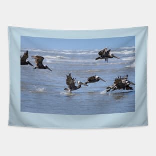 Brown Pelicans in Flight Tapestry