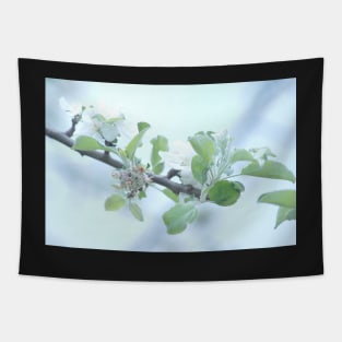 Nectarine Blossoms Tapestry