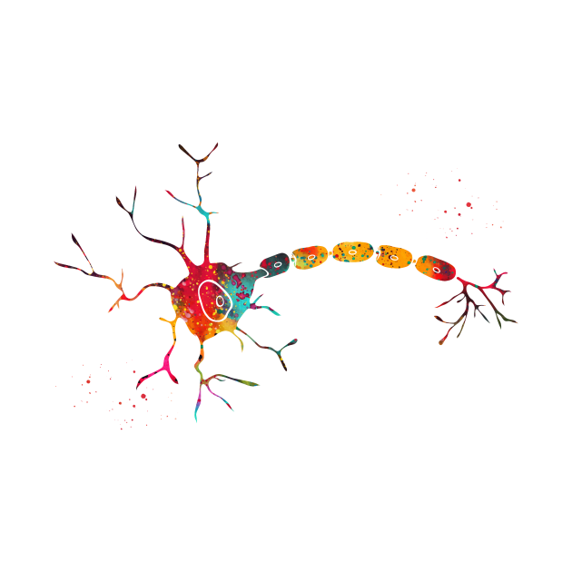 Anatomy of a typical human neuron by erzebeth