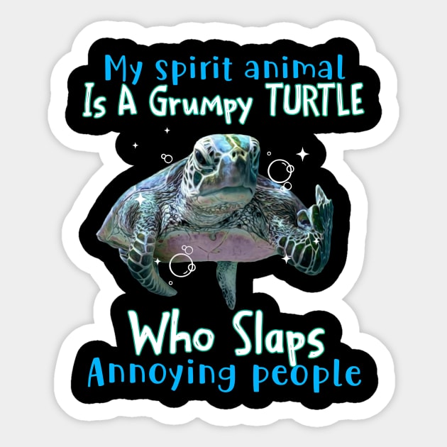 Grumpy Turtle Women's T-Shirt