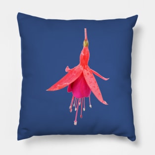 Fuchsia &#39;Pink Fizz&#39; Pillow