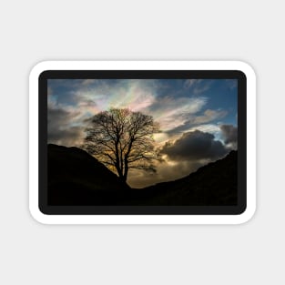 Sycamore Gap Silhouette Magnet