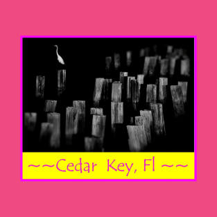 cedar key florida T-Shirt