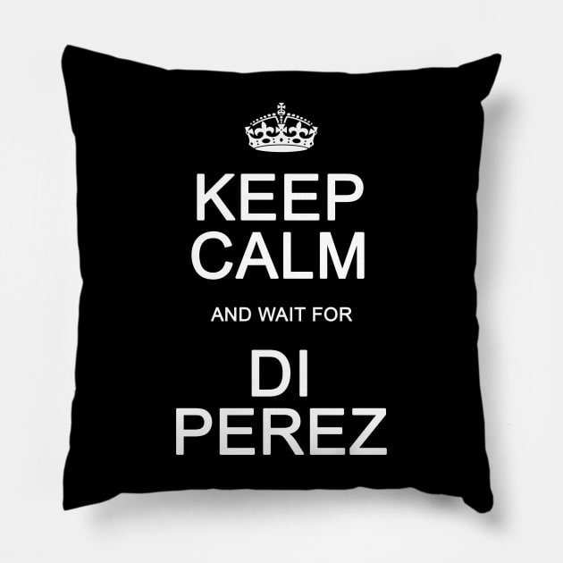 DI Perez Pillow by Vandalay Industries