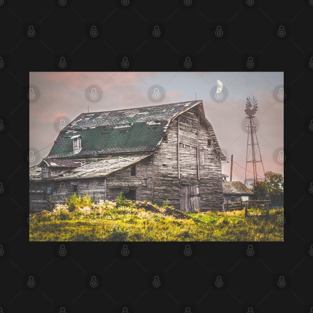 Vintage Alberta Barn by Danielleroyer