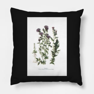 Canada Thistle Pillow