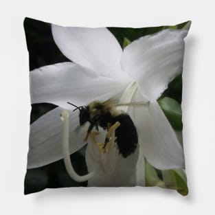 Bee in a Flower Photographic Design - Garden lover gift Pillow