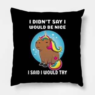 I didn't say I would be nice I said I would try Cartoon Capybara Unicorn Pillow