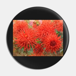 Dahlia Mania Pin