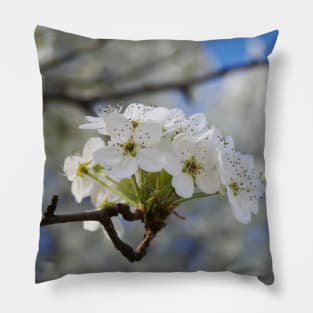 Flowering Tree in Spring Pillow