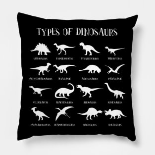 Types of Dinosaurs' Teaching Dinosaurs Pillow