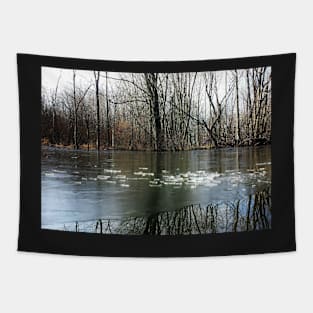 Frozen Lake with Winter Tree Reflections Tapestry