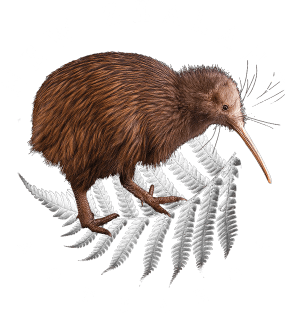 New Zealand Aotearoa Magnet