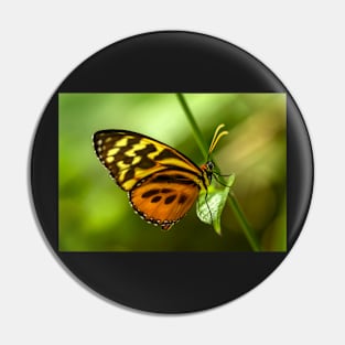 Colorful Butterfly on a Leaf Poster Pin