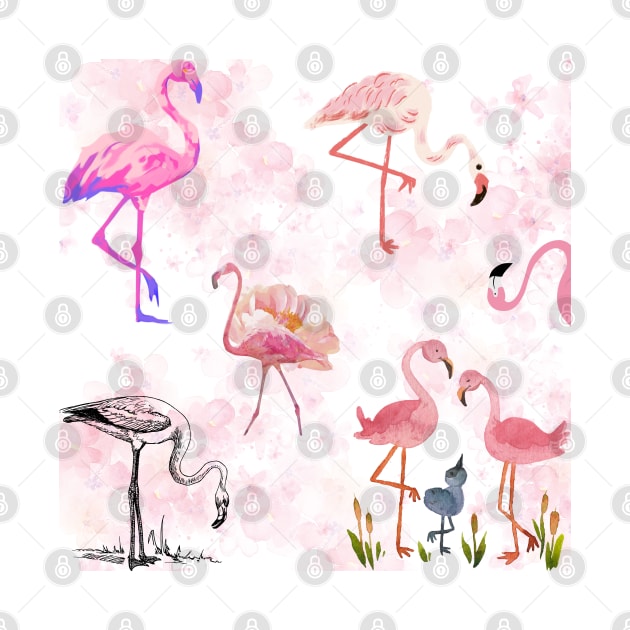 Pink Flamingo Bird Collection by GoodyL