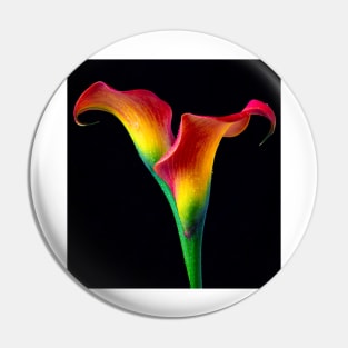 Flaming Red Calla Lillies Pin