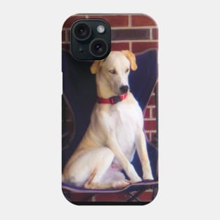 Catahoula Leopard Dog Phone Case