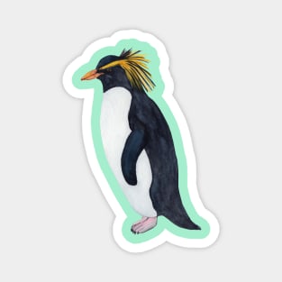 Northern Rockhopper Penguin Magnet